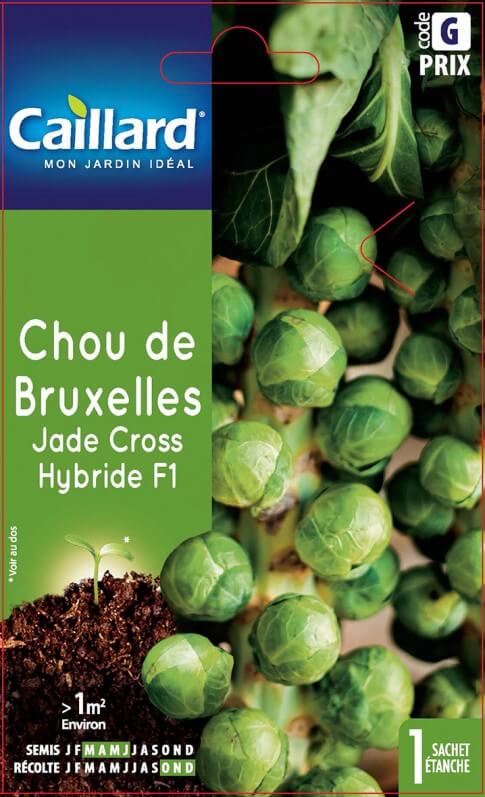 Chou de Bruxelles Jade Cross Hybride F1, Caillard