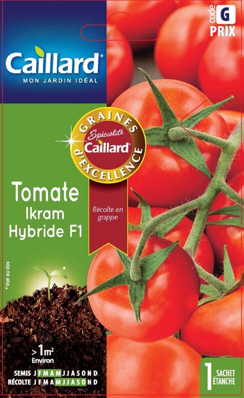 Tomate Ikram Hybride F1, Caillard