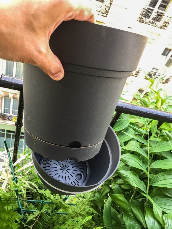 Pot Samba (Deroma) à réserve d'eau avec support métallique, balcon, Paris 19e (75)