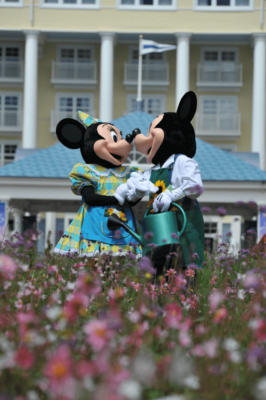 Minnie et Mickey dans le Jardin hollandais, Disneyland Paris, été, juin 2017