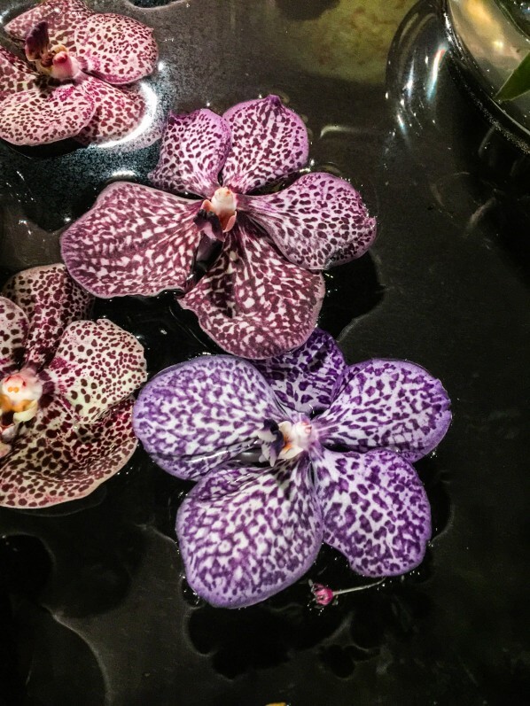 Fleurs coupées d'orchidée, Vanda, composition floral, Flowertime 2017, Hôtel de ville, Bruxelles, Belgique