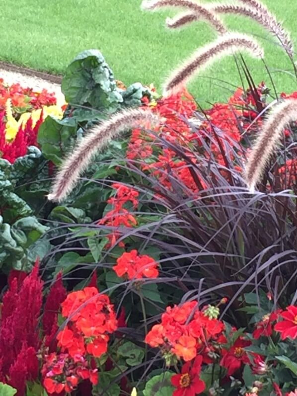 Parterre de fleurs d'été à dominante rouge, Jardin du Luxembourg, Sénat, Paris 6e (75)