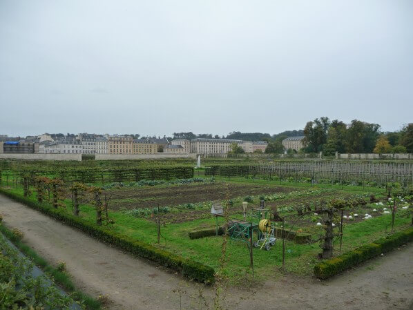 Les arbres fruitiers du Potager du Roi en automne, Versailles (78)