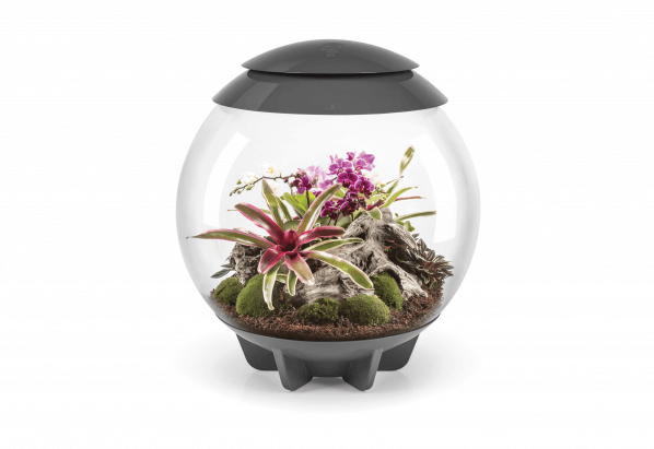 Terrarium biOrb AIR 60 gris, Oase