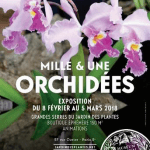 Mille & Une orchidées, Jardin des Plantes, Paris 5e (75), du 8 février au 5 mars 2018