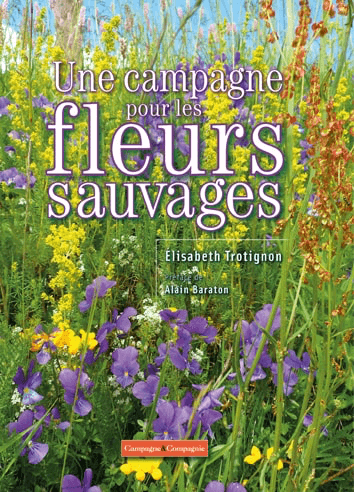 Lire la suite à propos de l’article Une campagne pour les fleurs sauvages
