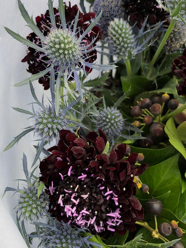 Bouquet de scabieuses et éryngiums, fleurs coupées, Paris 19e (75)