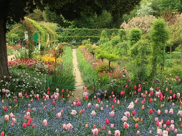 Jardin de Monet, Giverny (27)