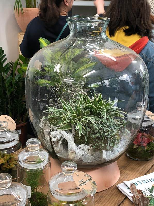 Terrarium, pop up store Truffaut, California Green, rue Beaubourg, Paris 3e (75)