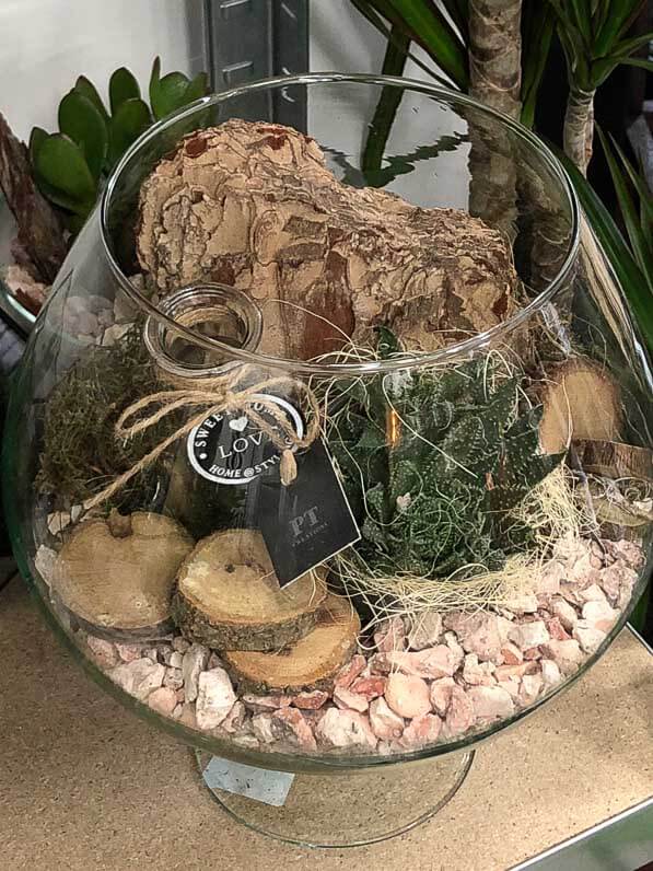 Terrarium, pop up store Truffaut, California Green, rue Beaubourg, Paris 3e (75)