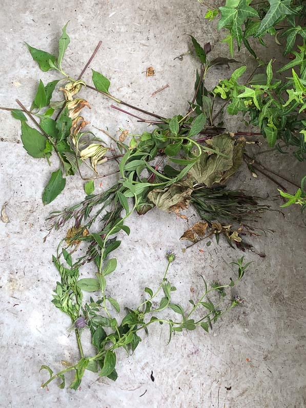 Feuilles et rameaux abimés par la grêle en été sur mon balcon parisien, Paris 19e (75)