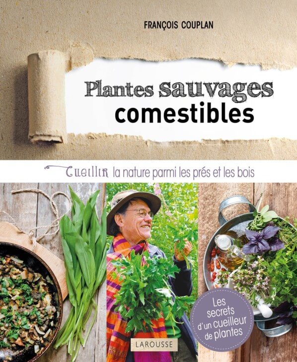 Lire la suite à propos de l’article Plantes sauvages comestibles Cueillir la nature parmi les prés