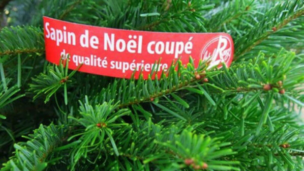 Sapin Label Rouge