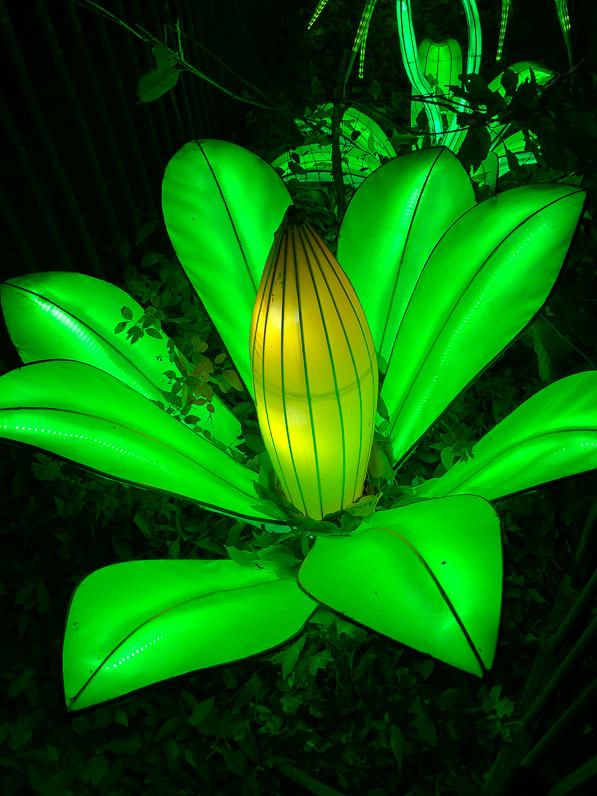 Espèces en voie d'illumination, promenade nocturne, lanternes, Jardin des Plantes, Paris 5e (75)