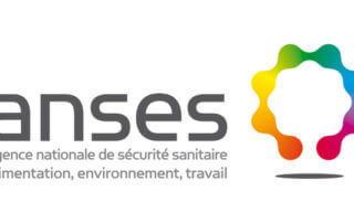 Anses, logo