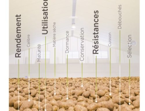 Nouveau catalogue des variétés de pomme de terre produites en France