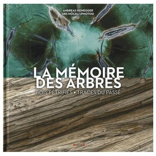 LA MÉMOIRE DES ARBRES, bois pétrifiés - traces du passé, Gründ