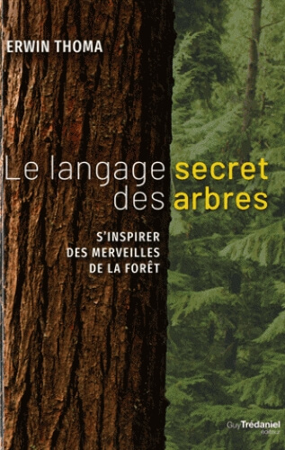 Lire la suite à propos de l’article Le langage secret des arbres