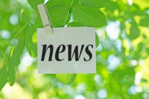 NEWS Fotolia © tamayura39