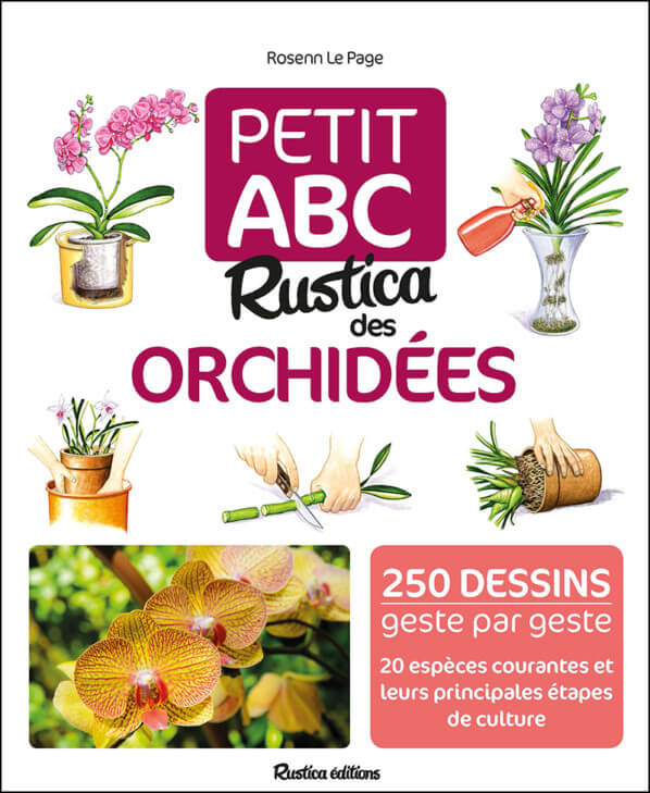 Petit abc Rustica des orchidées, Rosenn Le Page, Rustica éditions, janvier 2019