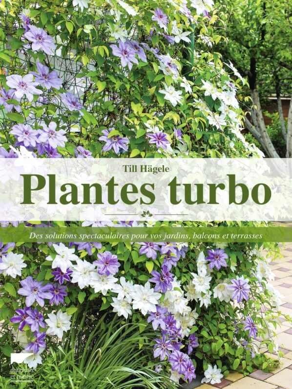 Lire la suite à propos de l’article Plantes turbo