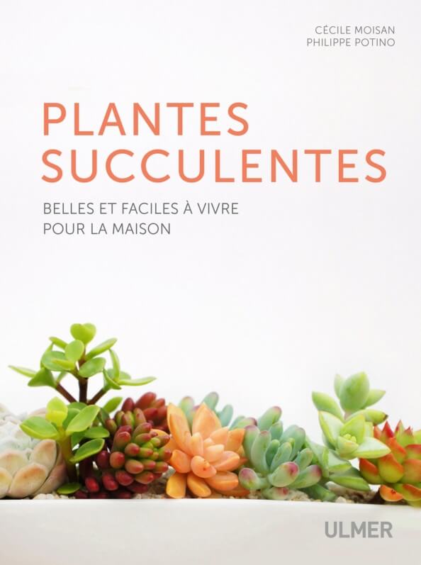 Lire la suite à propos de l’article Plantes succulentes