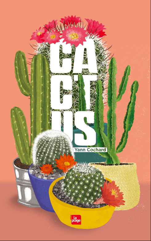 Lire la suite à propos de l’article Cactus