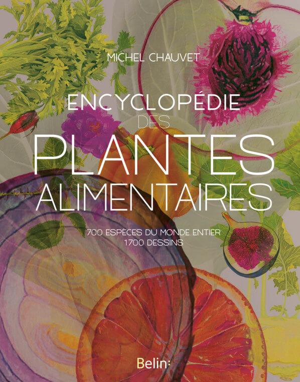 Lire la suite à propos de l’article Encyclopédie des plantes alimentaires