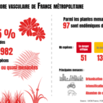 Infographie, liste rouge de la flore vasculaire de la France métropolitaine
