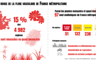 Infographie, liste rouge de la flore vasculaire de la France métropolitaine