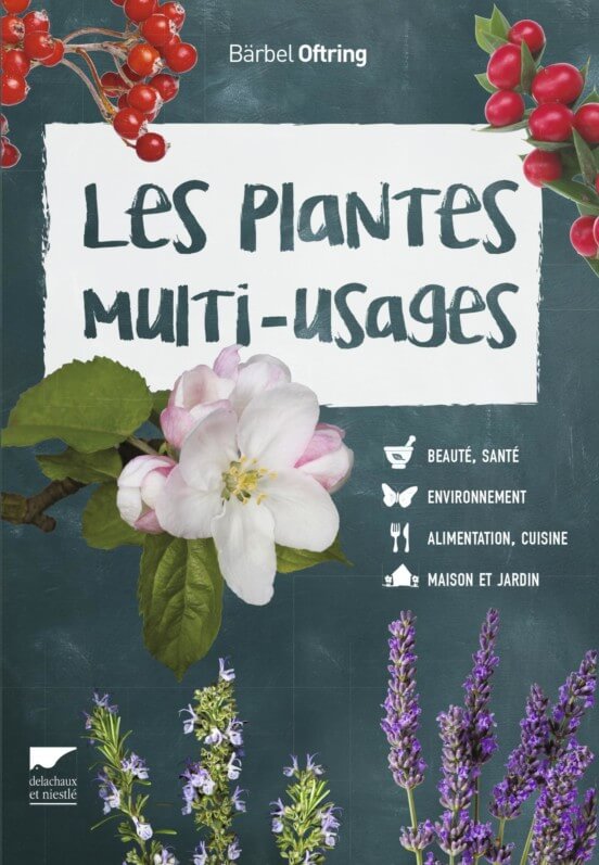 Lire la suite à propos de l’article Les plantes multi-usages