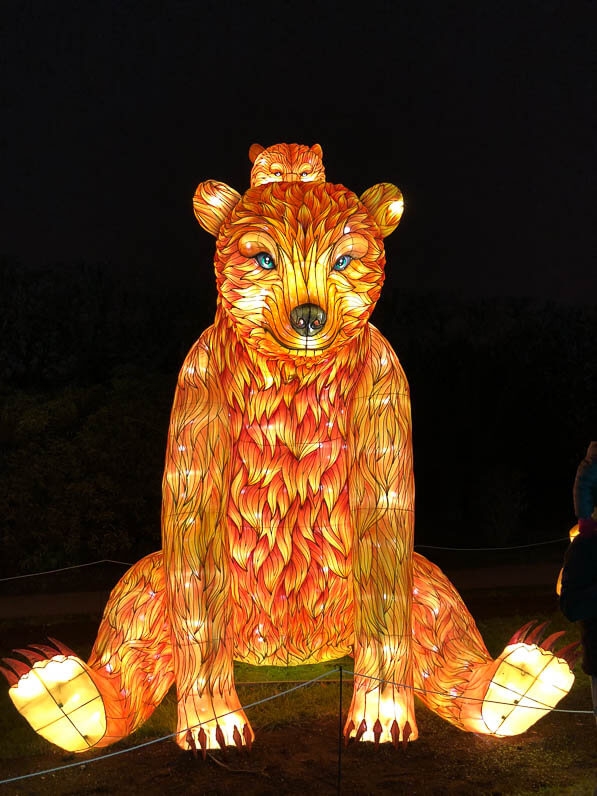 Ours, Espèces en voie d'illumination, promenade nocturne, lanternes, Jardin des Plantes, Paris 5e (75)