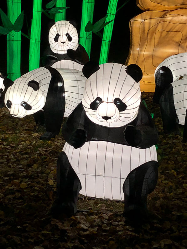 Pandas, Espèces en voie d'illumination, promenade nocturne, lanternes, Jardin des Plantes, Paris 5e (75)