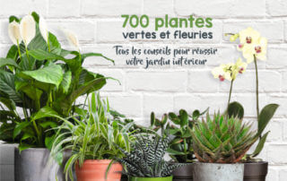 Plantes d'intérieur, 700 plantes vertes et fleuries, Horticolor