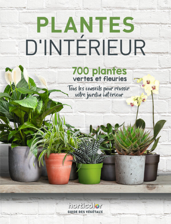 Plantes d'intérieur, 700 plantes vertes et fleuries, Horticolor