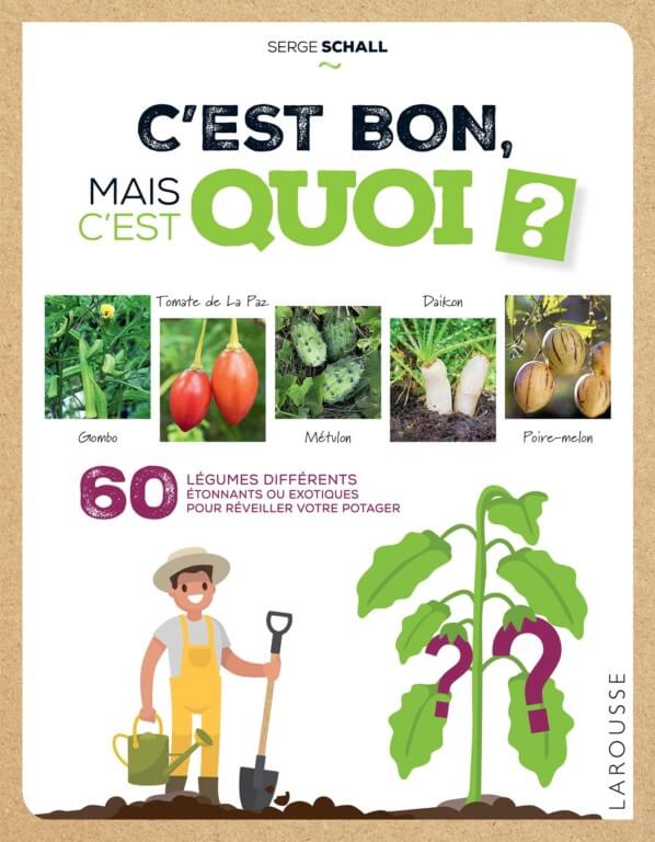 Lire la suite à propos de l’article C’est bon, mais c’est quoi ?