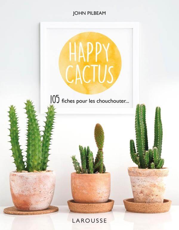 Lire la suite à propos de l’article Happy cactus