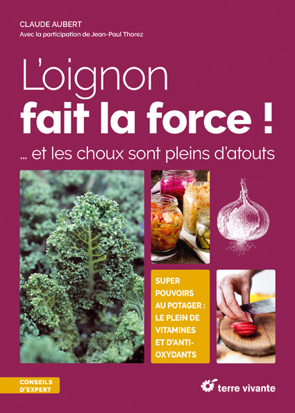Lire la suite à propos de l’article L’oignon fait la force !