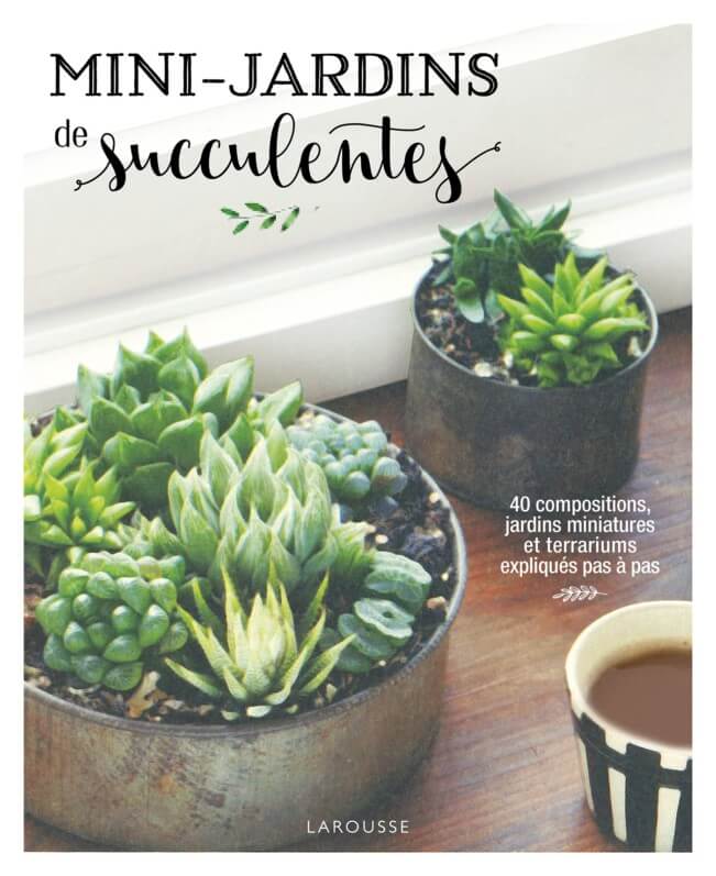 Mini-jardins de succulentes, Kentaro Kuroda, éditions Larousse, février 2019
