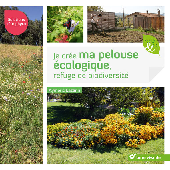 Lire la suite à propos de l’article Je crée ma pelouse écologique, refuge de biodiversité