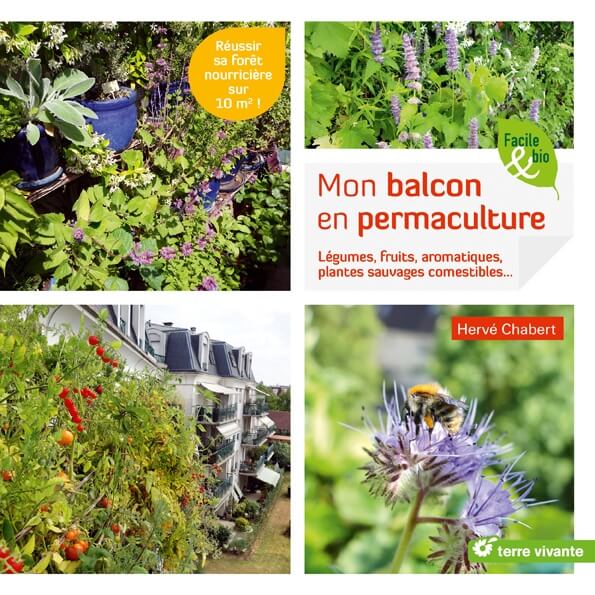 Lire la suite à propos de l’article Mon balcon en permaculture !