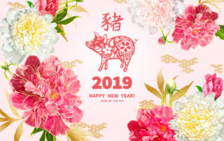 2019, année du Cochon de Terre, nouvel an chinois, photo Fotolia / ledelena