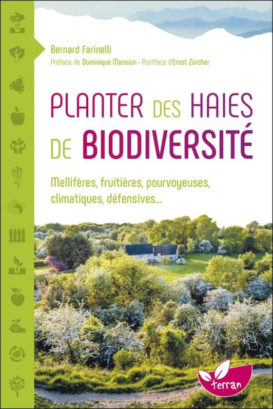 Lire la suite à propos de l’article Planter des haies de biodiversité