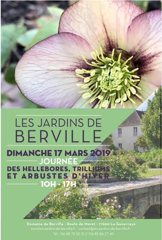 Lire la suite à propos de l’article Journées des hellébores, trilliums et arbustes d’hiver le 17 mars 2019