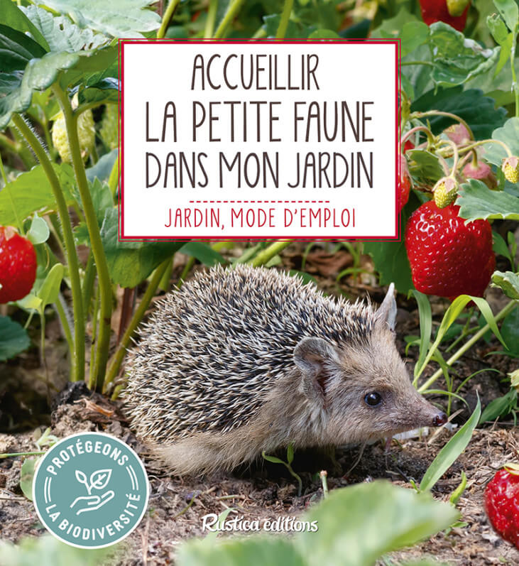 Lire la suite à propos de l’article Accueillir la petite faune dans mon jardin