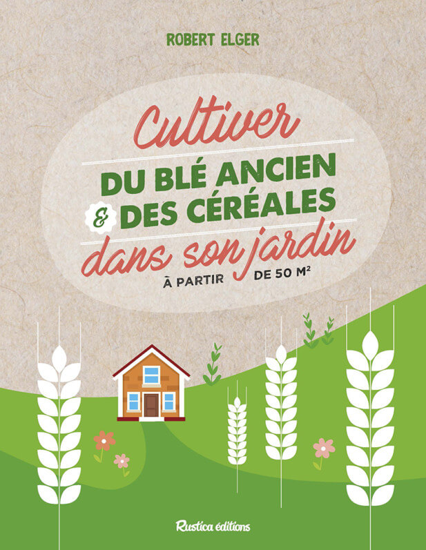 Lire la suite à propos de l’article Cultiver du blé ancien et des céréales dans son jardin