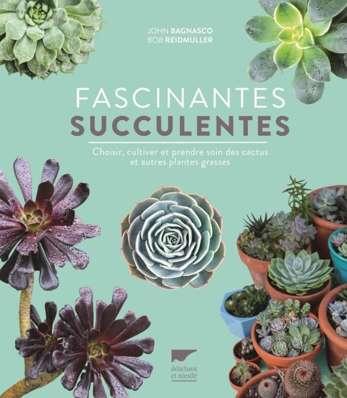 Lire la suite à propos de l’article Fascinantes succulentes