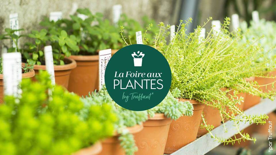 Lire la suite à propos de l’article La Foire aux plantes by Truffaut du 29 au 31 mars 2019