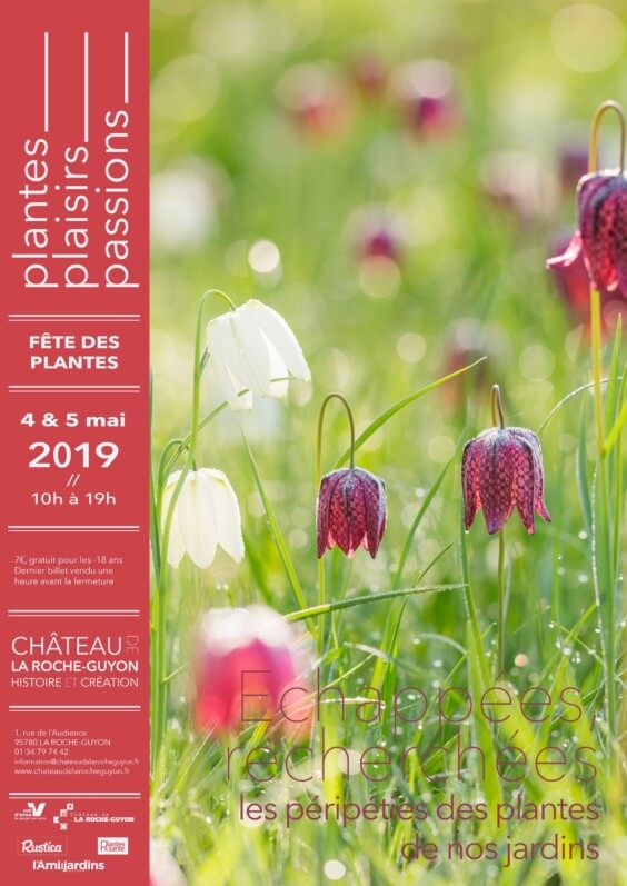 Lire la suite à propos de l’article 25ème édition de Plantes, Plaisirs, Passions à la Roche-Guyon (95)