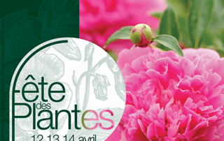 Affiche de la Fête des Plantes de Printemps, château de Saint-Jean de Beauregard, les 12, 13 et 14 avril 2019